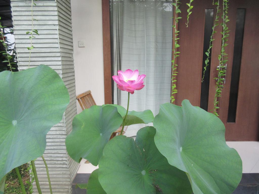 Rika Sanur Homestay Екстериор снимка